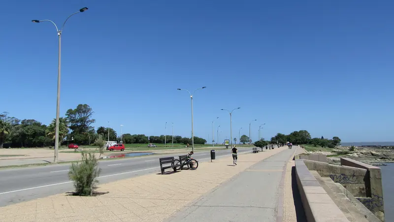Qué hacer gratis en Montevideo: paseos y experiencias sin gastar